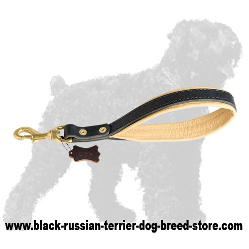 Stylish Leather Russian Terrier Leash with Stitched Handle