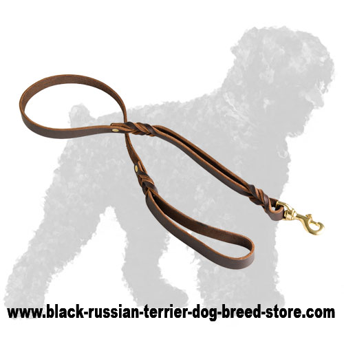 Durable Walking Leather Russian Terrier Lead with Stylish Braids