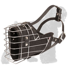 Walking Metal Cage Muzzle for Russian Terrier