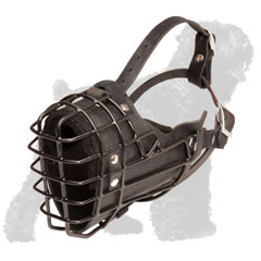 Wire Cage Russian Terrier Muzzle with Strong Straps