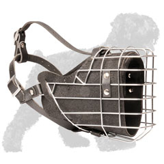 Training Wire Cage Padded Russian Terrier Muzzle
