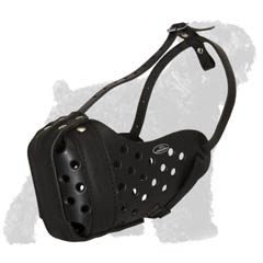 Great training nose padded Black Russian Terrier muzzle