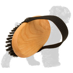 Easy in Use Russian Terrier Brush for Daily Grooming 