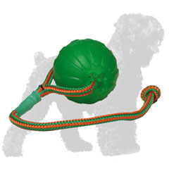 Russian Terrier Ball for Chewing and Effective Basic Training