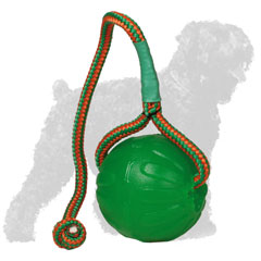 Quality Colorful Black Russian Terrier Ball on Nylon Rope