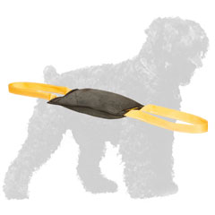 Retrieve Leather Black Russian Terrier Bite Tug with Handles