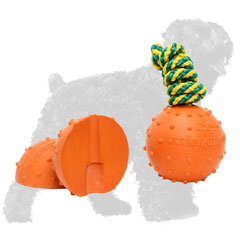 Dotted Water Floating Rubber Black Russian Terrier Ball