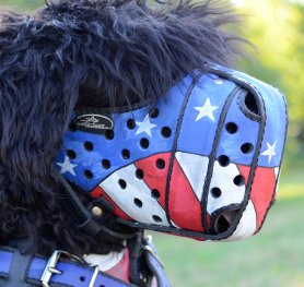 How to Measure dog for a Muzzle